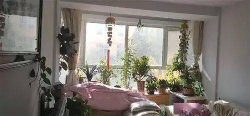 乐都本地房屋出租信息更新（1月27日） | 精品房源别错过，高性价比住房租赁盘点