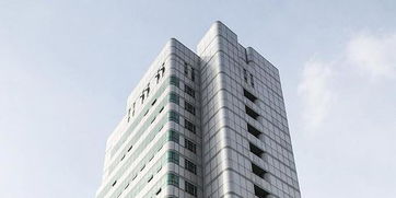 城方首个租赁住房项目投入市场 国家队为住房租赁注入新活力